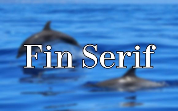 Fin Serif: A Versatile Typeface for Editorial Design
