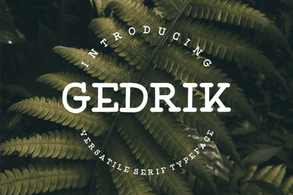 Gedrik: A Designer’s Honest Review of This Serif